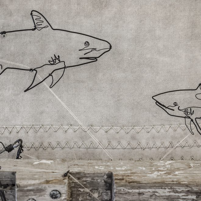 ben-baker-sharks-and-fishes-12