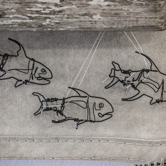 ben-baker-sharks-and-fishes-27