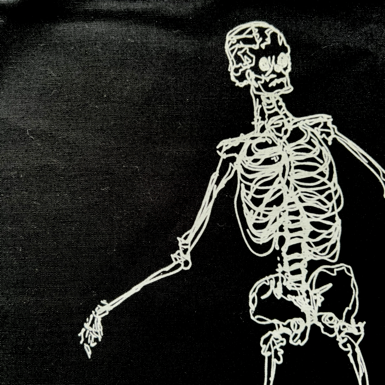 Skeleton bag2