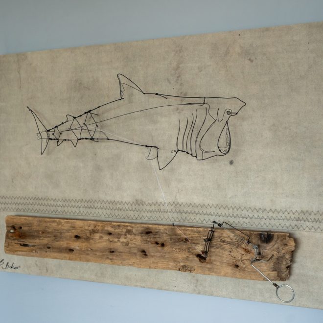 Ben-Baker_Basking-Shark-01