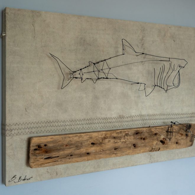 Ben-Baker_Basking-Shark-03