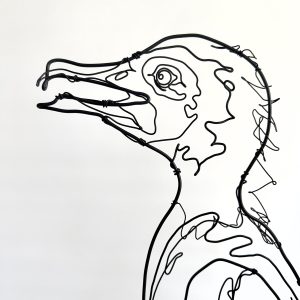 IMG_4514 IMG_4514